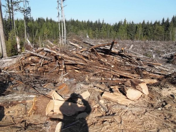 Oct 19, 2018 (3).JPG