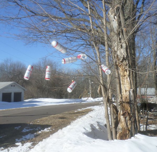 Trees budding.jpg