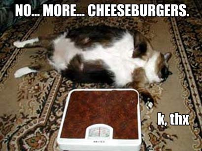 no_more_cheeseburgers.jpg
