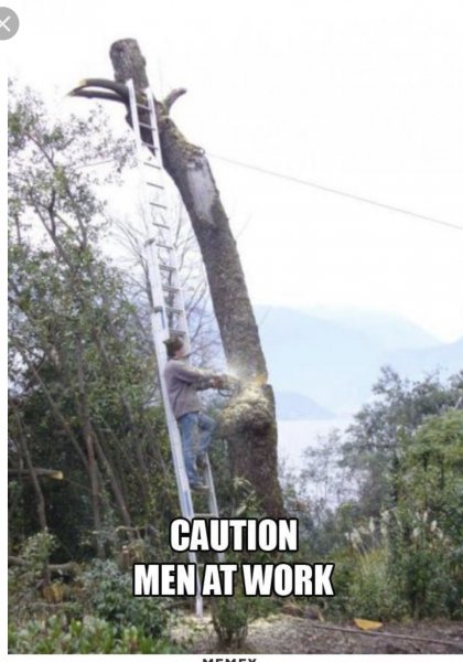 52783859-4F77-48F8-902B-F5F06F337963.jpeg