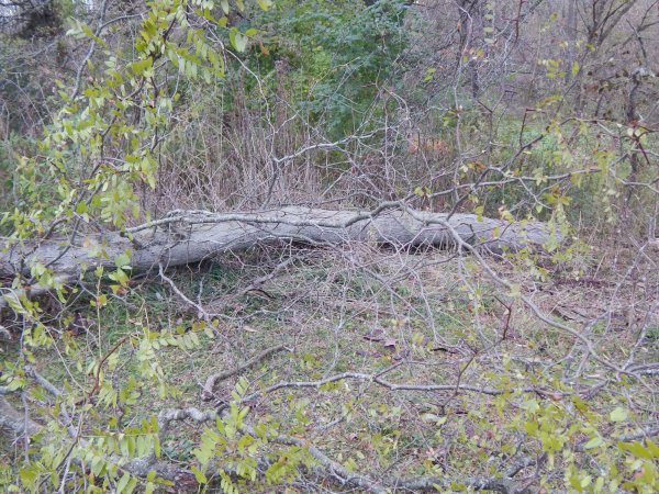 DSCN0588.JPG