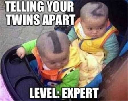 03 Telling your twins apart - expert.jpg