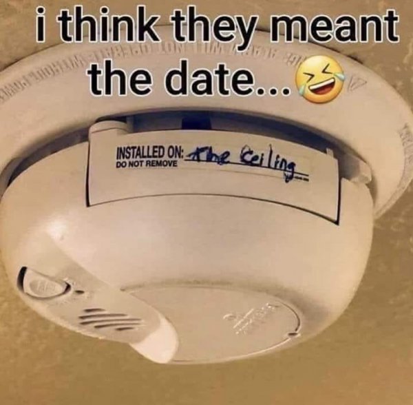 44993924_2462081097152313_3013875682288599040_n.jpg