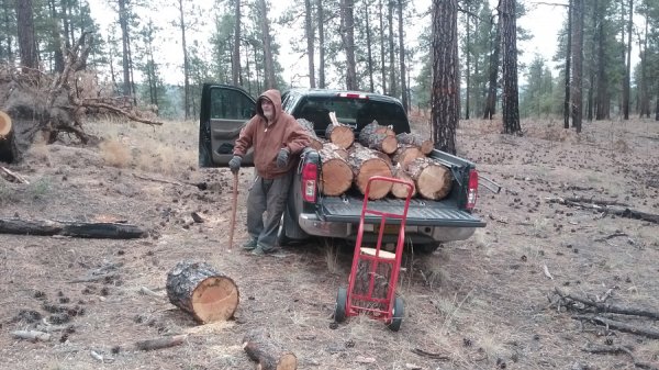 A Load of Ponderosa  Firewood Hoarders Club