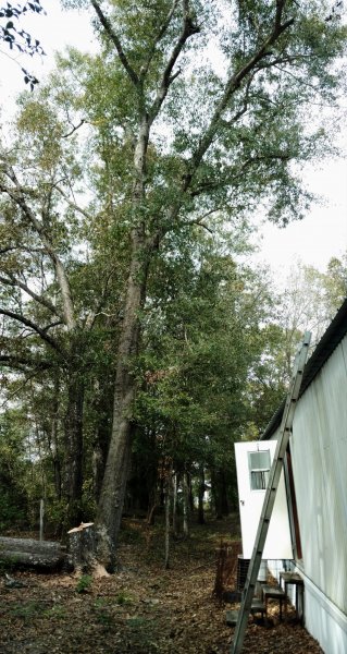 IMG_20181102_200647.jpg
