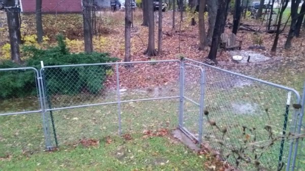 corner of fence water.jpg