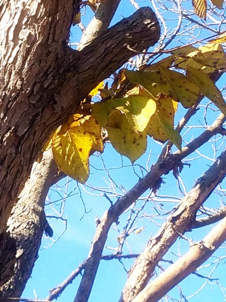 20181103_132001.jpg