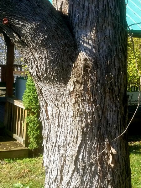 20181103_131943.jpg