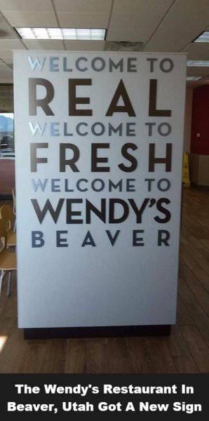 Wendy's beaver.jpg