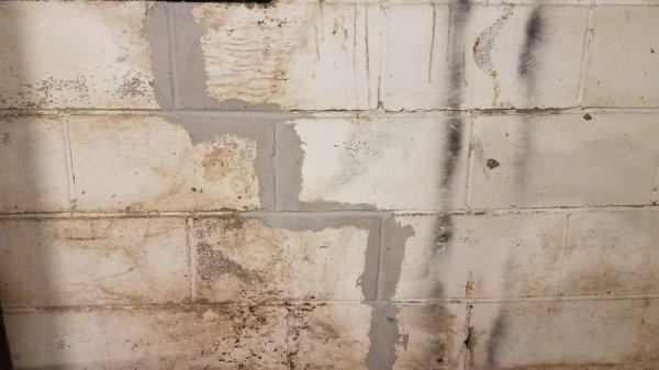 20181110_060156-2016x1134.jpg