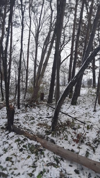 20181110_121836.jpg