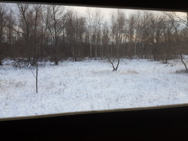 20181115_161445.jpg