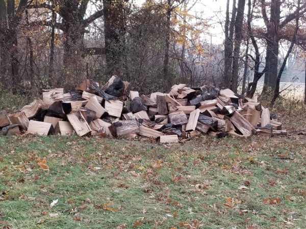 20181117_085729.jpg
