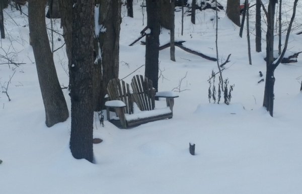 sitting area first snow 11-16-18.jpg