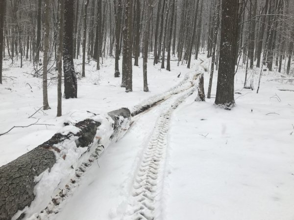 his & hers logsplitters firewood hoarders club