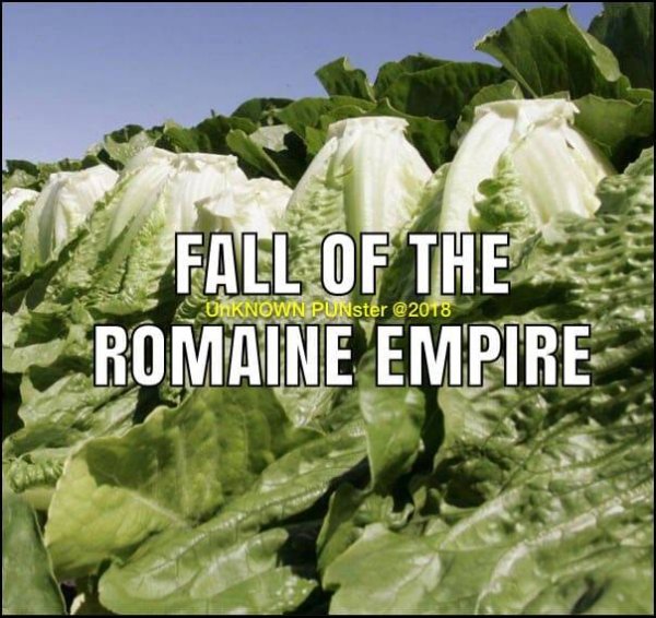 RomaineEmpire.jpg