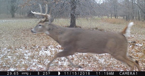 Opening day-could not shoot.JPG