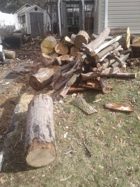 20180303_133706.jpg