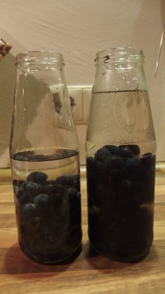 PB250314.JPG