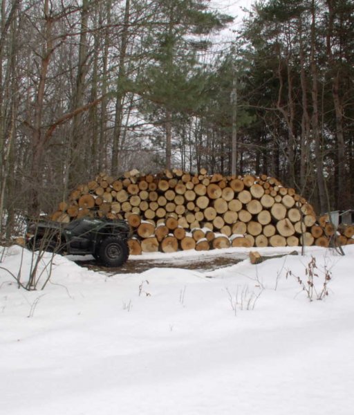 Split pile 2-26-09b.JPG