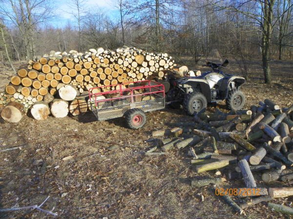 Splitting pile-2a.JPG