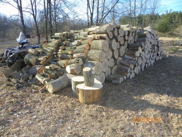 Splitting pile-3a.JPG