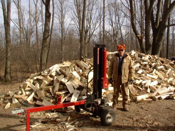 Woodpile 3-20-06.JPG