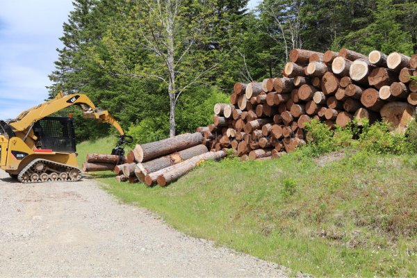 20180612-sawmill-hemlock-4-skidsteer.jpg