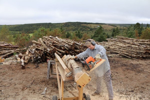 20180929-firewood-6-gina.jpg
