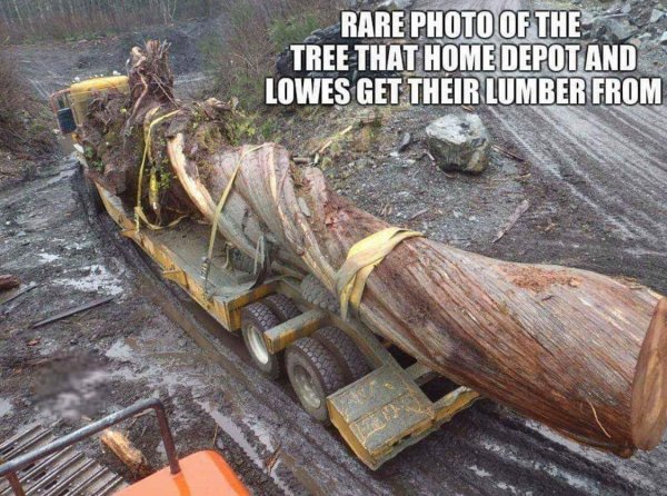 FB_IMG_1544661057734.jpg