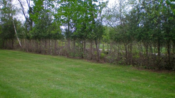 100_0006.JPG