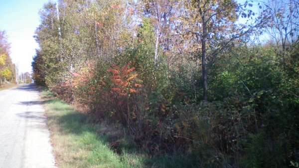 100_0006.JPG