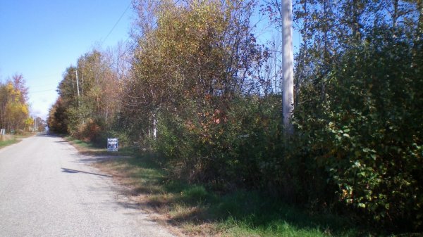 100_0008.JPG