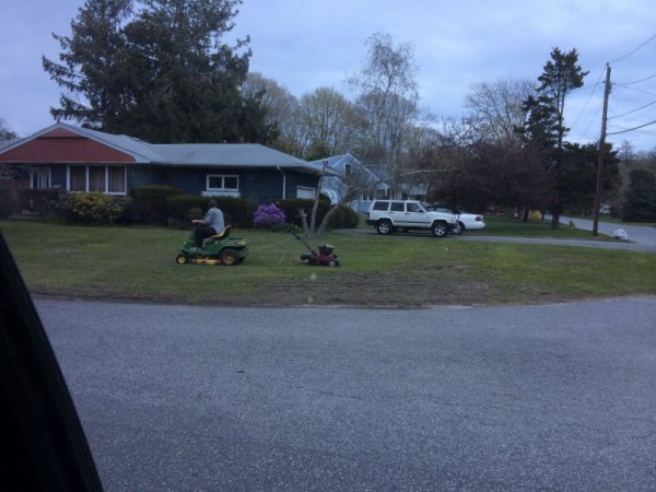 Cut grass_resize.JPG