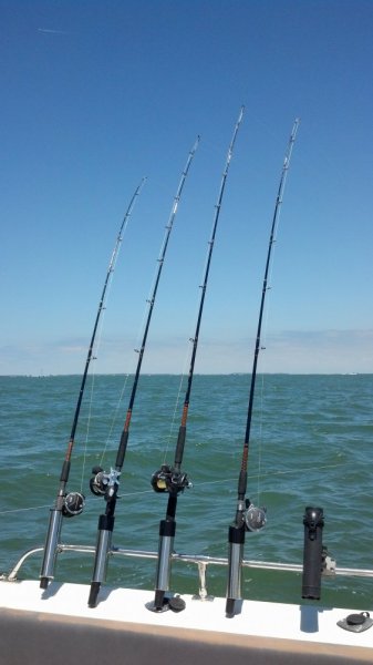 IMG_20140523_125810_696.jpg