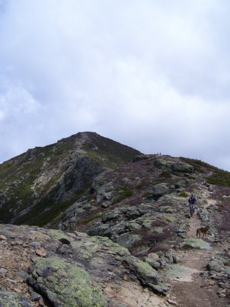 Franconia ridge trail.JPG