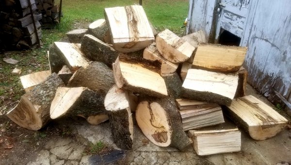 20181214_130933.jpg