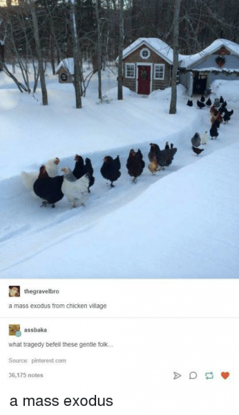 thegravelbro-a-mass-exodus-from-chicken-village-assbaka-what-tragedy-25155985.png