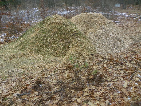 Wood chips.JPG