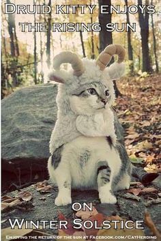 2fa61ee7fec5b90dafb0eded29bb6aae--mountain-goats-pet-costumes.jpg