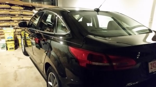 2018 Ford focus first night in garage.jpg