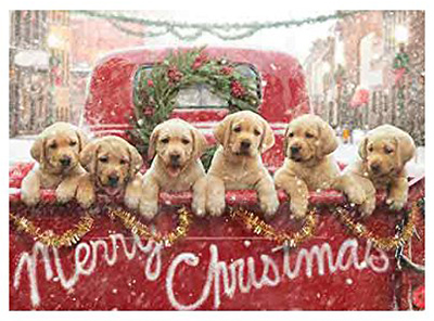 puppies.jpg