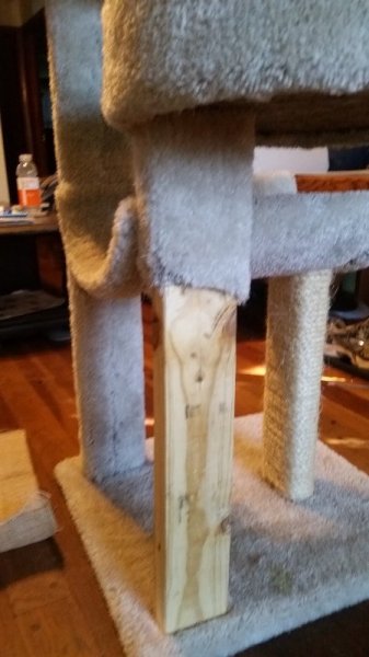 5 cat tower leg uncovered.jpg