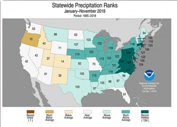 state-precip-ranks-1.18-11.18.jpeg