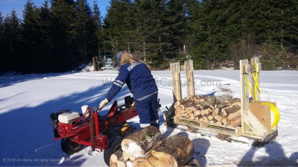 20181231-firewood-1-gina.jpg