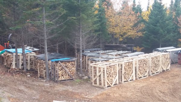 20181017-firewood-workyard.jpg