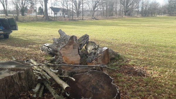 20190106_115934.jpg
