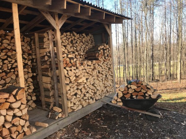 Moving Wood.jpg