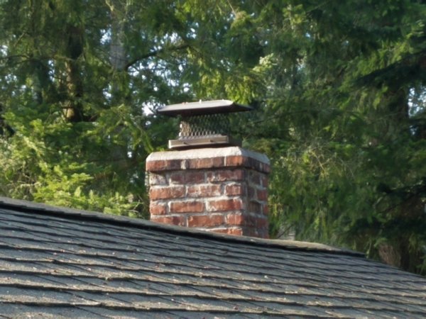 chimneycap.jpg