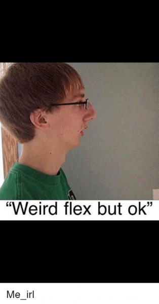 weird-flex-but-ok-me-irl-37316595.png